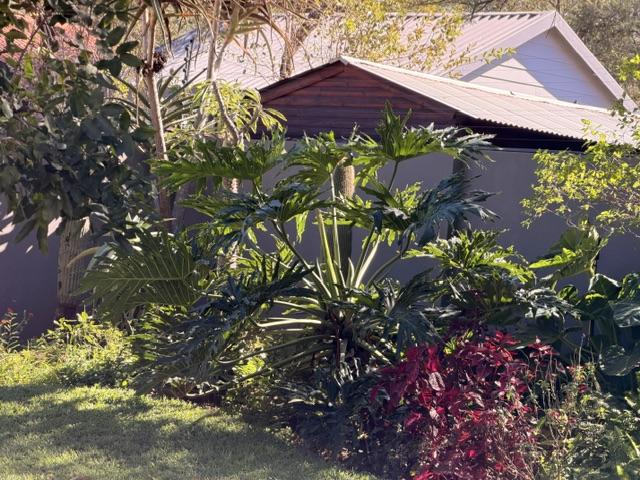 3 Bedroom Property for Sale in Thabazimbi Limpopo