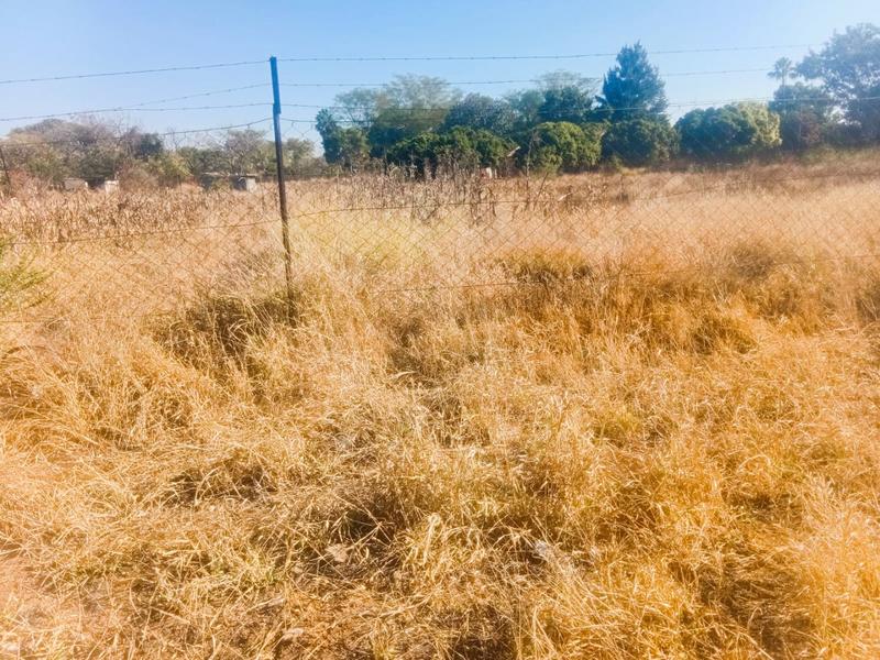 0 Bedroom Property for Sale in Dendron Limpopo