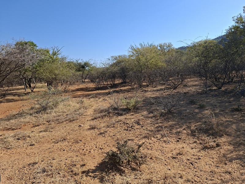 0 Bedroom Property for Sale in Lephalale Limpopo