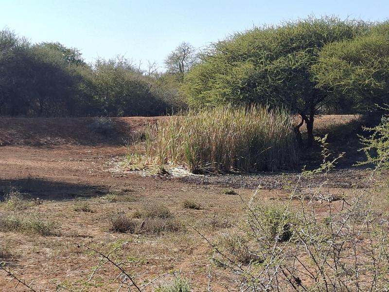 0 Bedroom Property for Sale in Lephalale Limpopo
