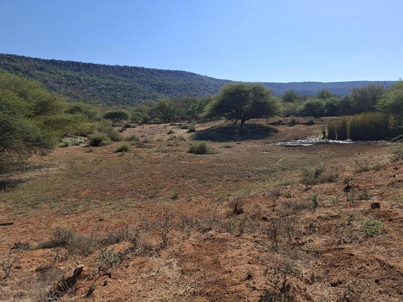 0 Bedroom Property for Sale in Lephalale Limpopo