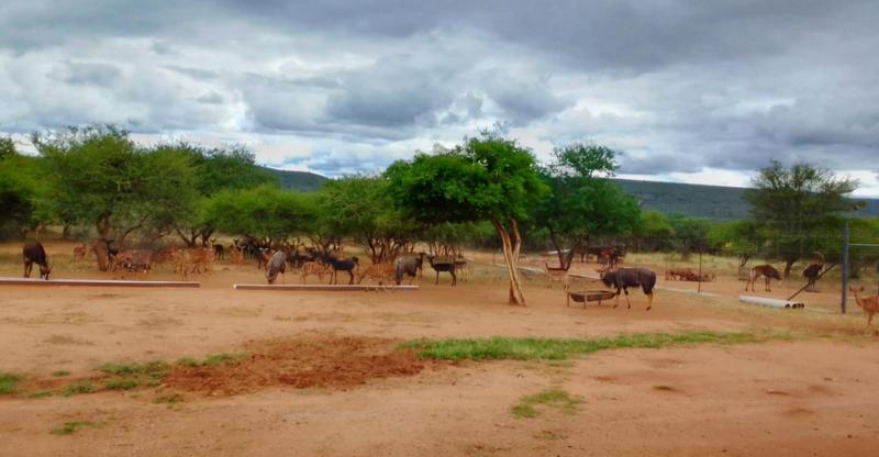 0 Bedroom Property for Sale in Lephalale Limpopo