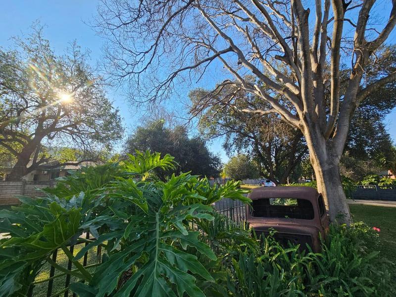 3 Bedroom Property for Sale in Thabazimbi Limpopo