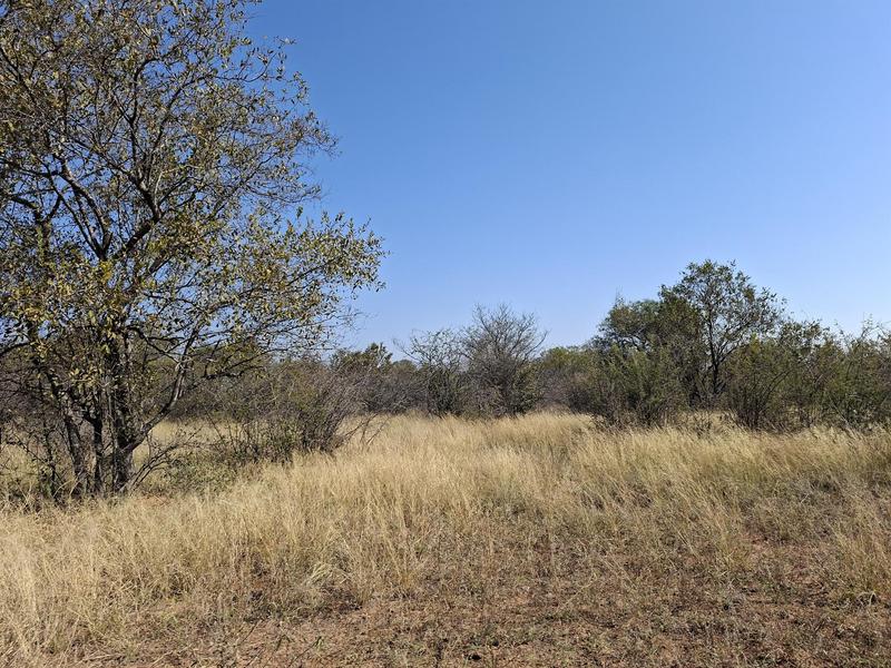0 Bedroom Property for Sale in Lephalale Limpopo
