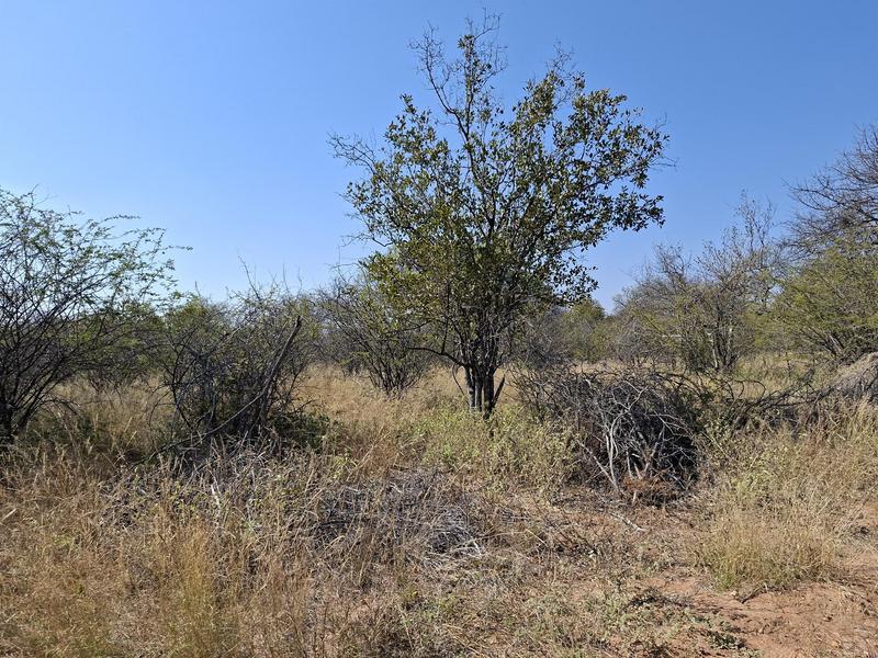 0 Bedroom Property for Sale in Lephalale Limpopo