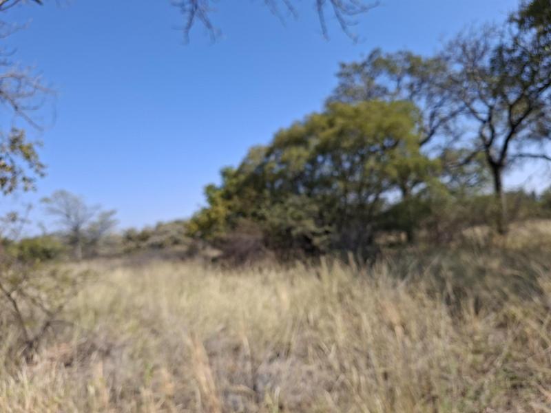 0 Bedroom Property for Sale in Lephalale Limpopo