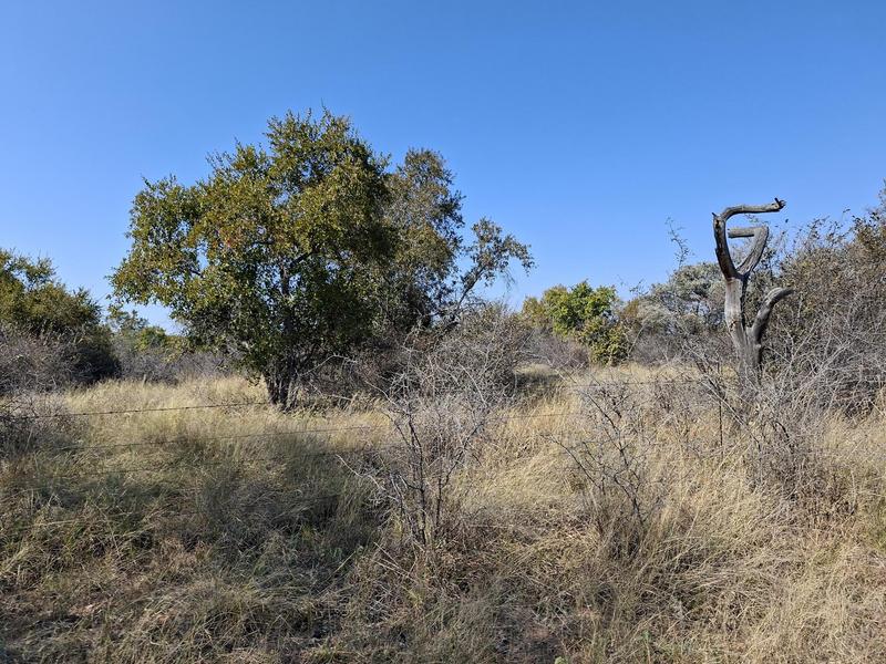 0 Bedroom Property for Sale in Lephalale Limpopo