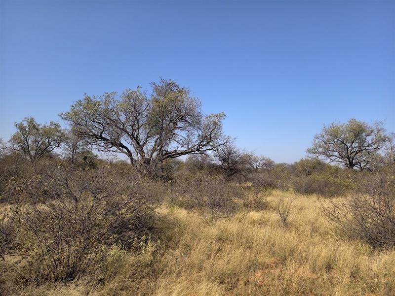0 Bedroom Property for Sale in Lephalale Limpopo