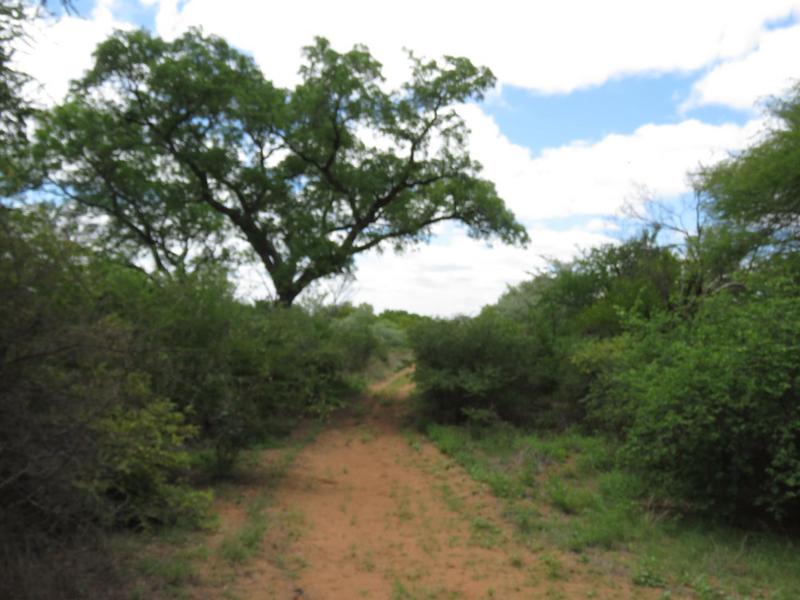 0 Bedroom Property for Sale in Lephalale Limpopo