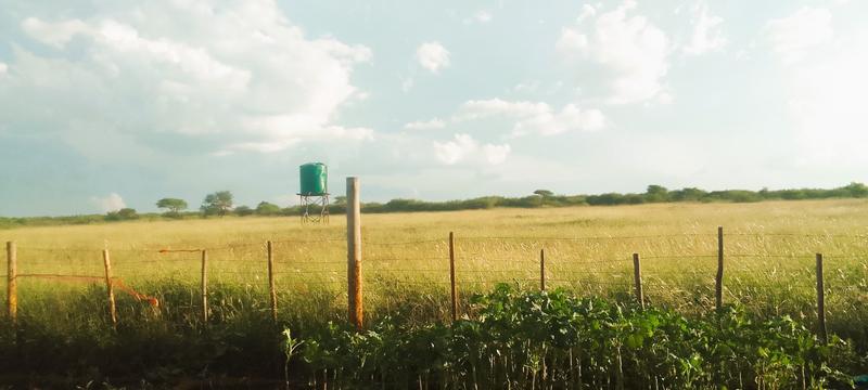 0 Bedroom Property for Sale in Louis Trichardt Park Limpopo