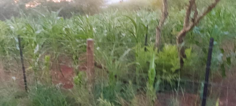 0 Bedroom Property for Sale in Louis Trichardt Park Limpopo