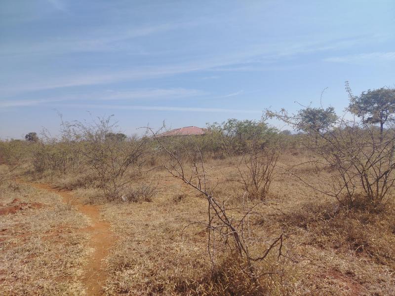 0 Bedroom Property for Sale in Lebowakgomo Limpopo
