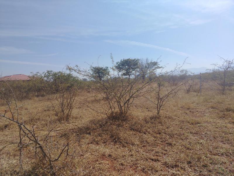 0 Bedroom Property for Sale in Lebowakgomo Limpopo