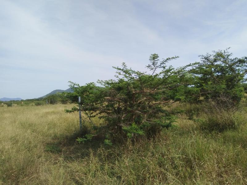0 Bedroom Property for Sale in Louis Trichardt Limpopo