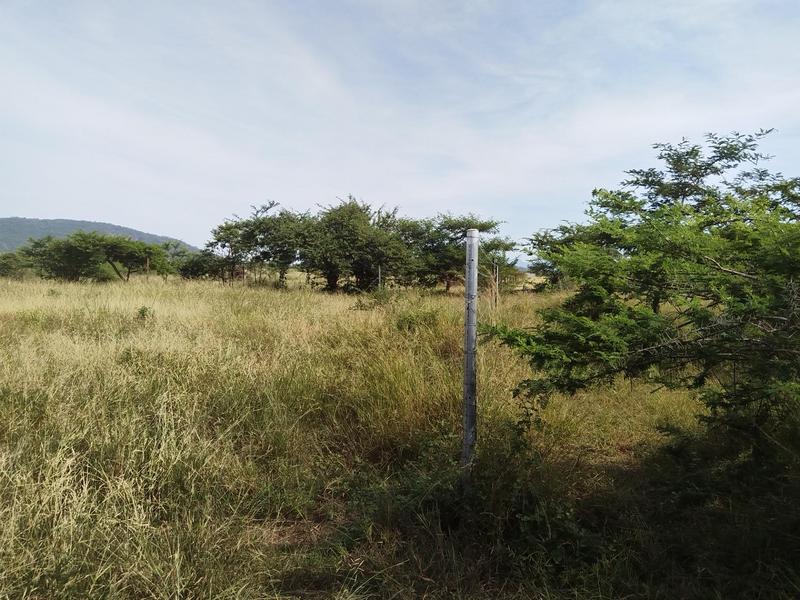 0 Bedroom Property for Sale in Louis Trichardt Limpopo