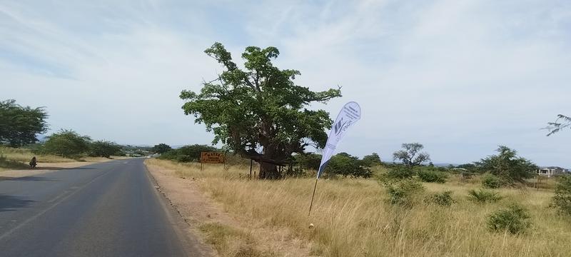 0 Bedroom Property for Sale in Louis Trichardt Limpopo