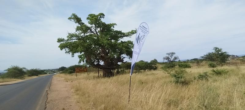 0 Bedroom Property for Sale in Louis Trichardt Limpopo