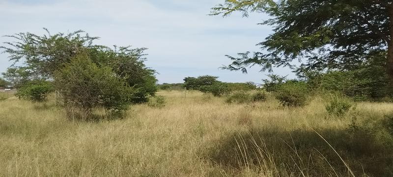 0 Bedroom Property for Sale in Louis Trichardt Limpopo