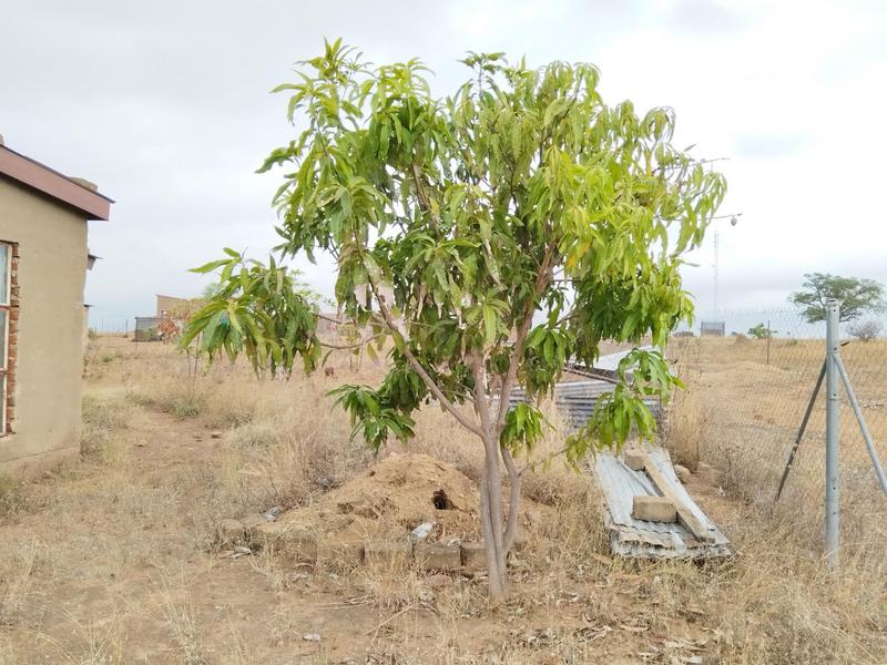 2 Bedroom Property for Sale in Mavambe Limpopo