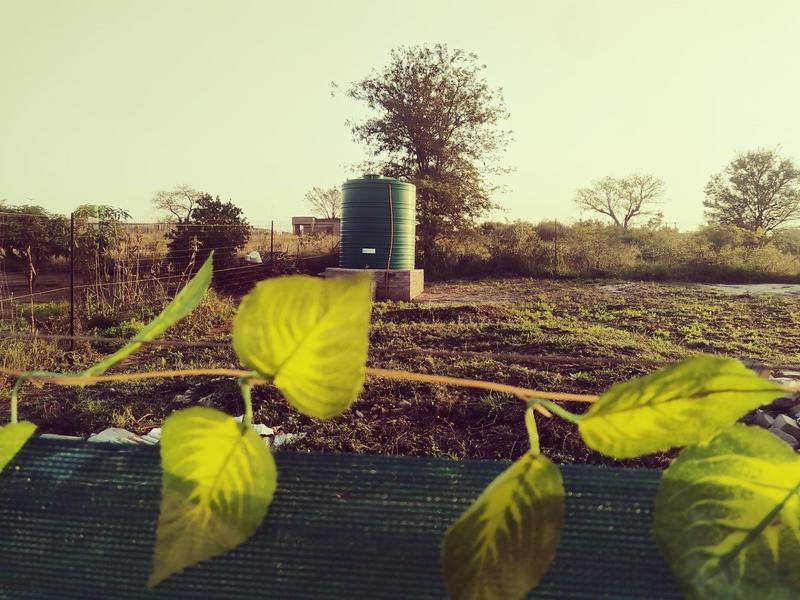 Commercial Property for Sale in Mavambe Limpopo