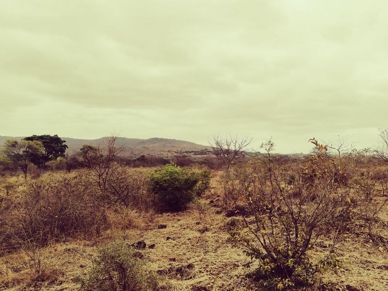 0 Bedroom Property for Sale in Mangondi Limpopo