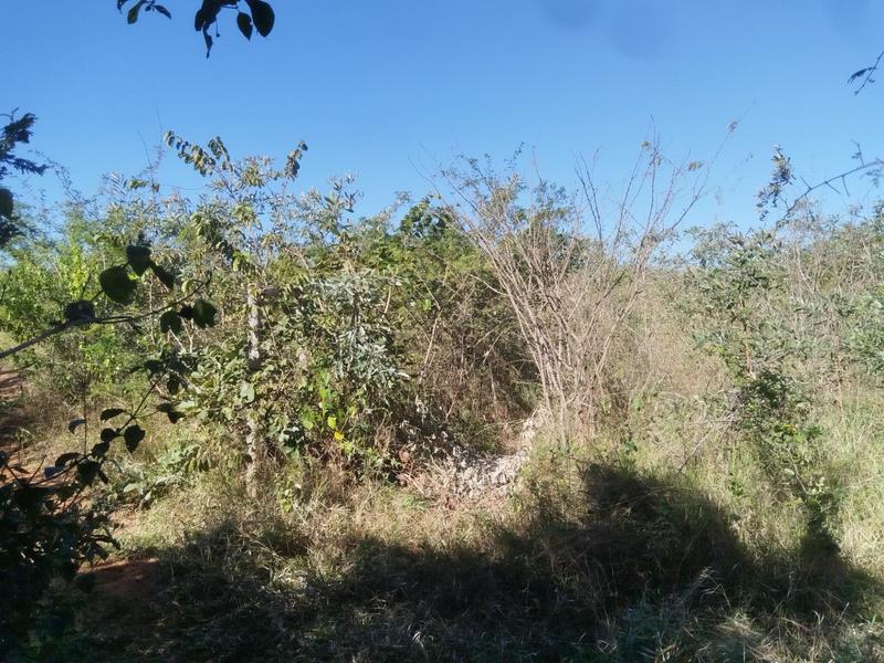 0 Bedroom Property for Sale in Tswinga Limpopo