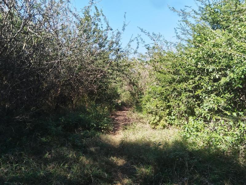 0 Bedroom Property for Sale in Tswinga Limpopo