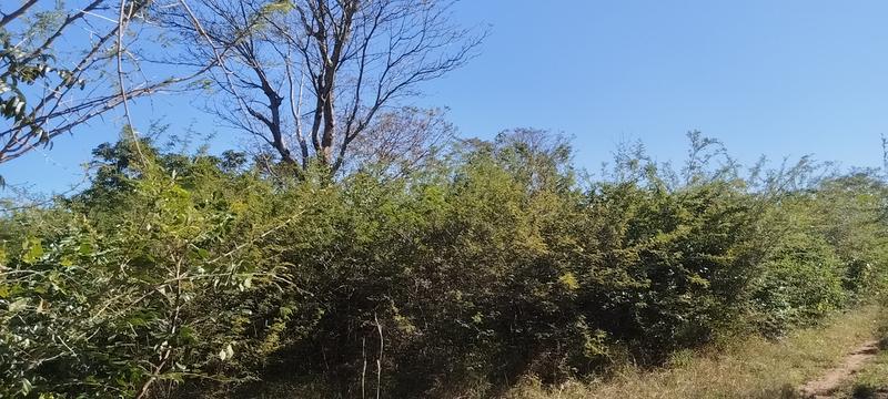 0 Bedroom Property for Sale in Tswinga Limpopo