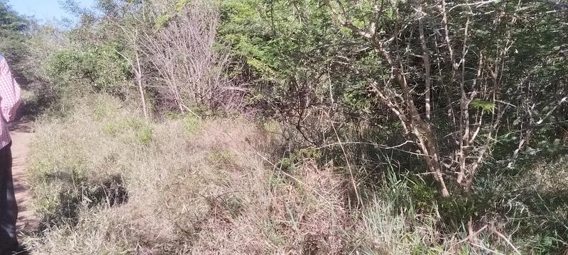 0 Bedroom Property for Sale in Tswinga Limpopo