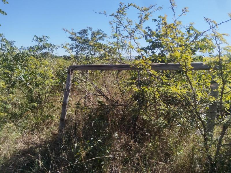 0 Bedroom Property for Sale in Tswinga Limpopo
