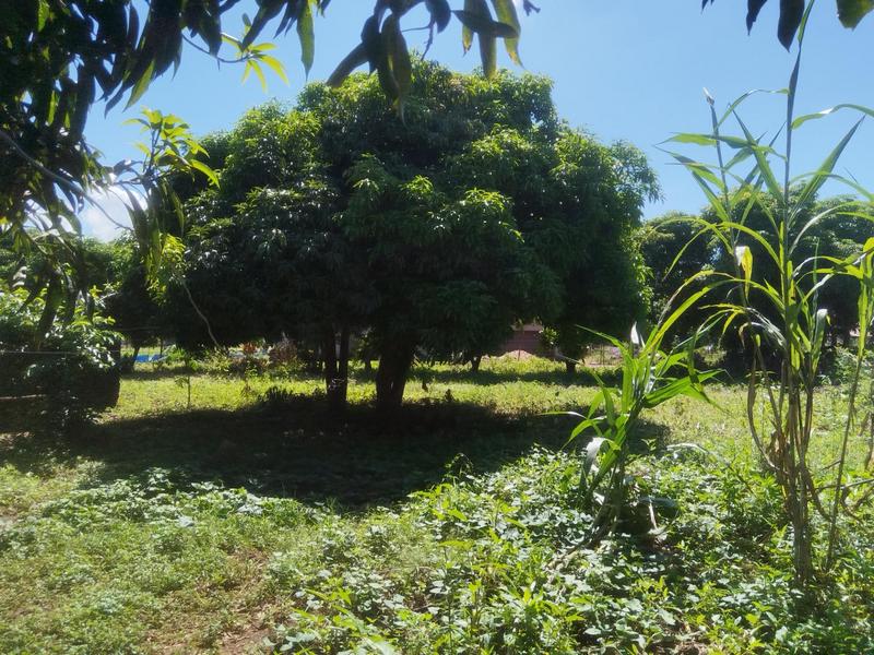 2 Bedroom Property for Sale in Thohoyandou Limpopo