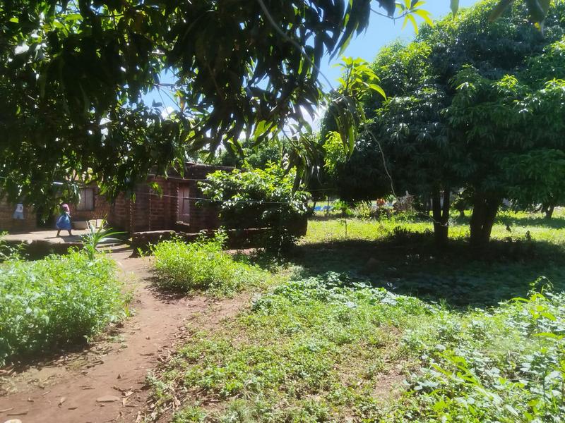2 Bedroom Property for Sale in Thohoyandou Limpopo