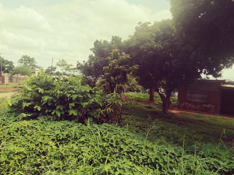 2 Bedroom Property for Sale in Thohoyandou Limpopo