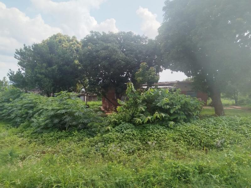 2 Bedroom Property for Sale in Thohoyandou Limpopo
