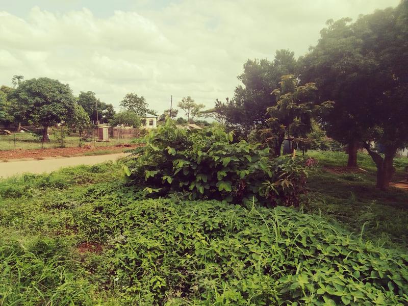 2 Bedroom Property for Sale in Thohoyandou Limpopo