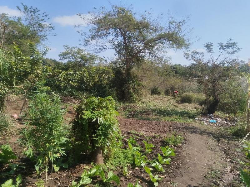 0 Bedroom Property for Sale in Thohoyandou Limpopo