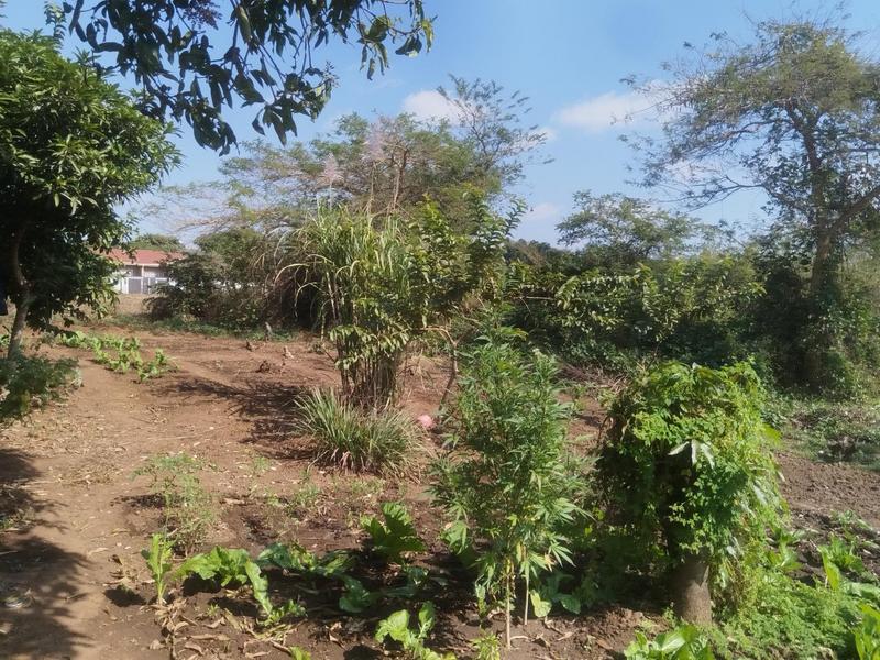 0 Bedroom Property for Sale in Thohoyandou Limpopo