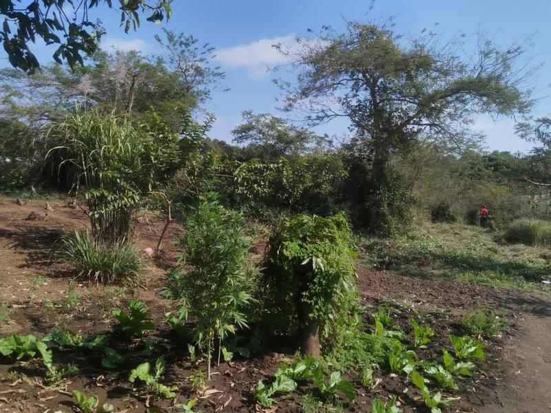 0 Bedroom Property for Sale in Thohoyandou Limpopo