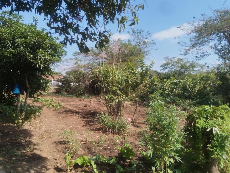 0 Bedroom Property for Sale in Thohoyandou Limpopo