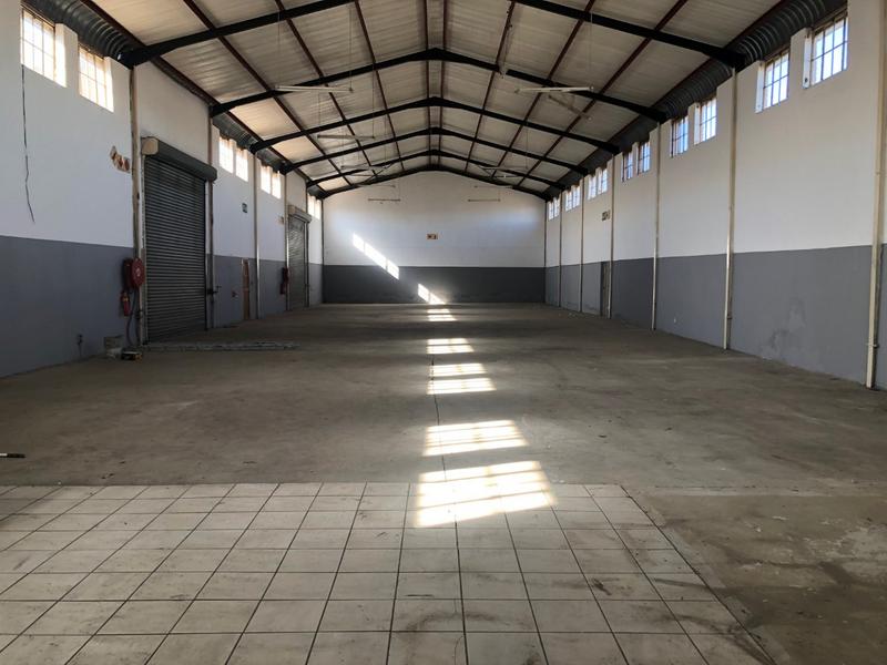 To Let Commercial Property for Rent in Ladine Limpopo