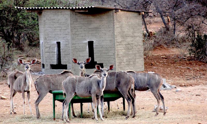8 Bedroom Property for Sale in Ohrigstad Limpopo