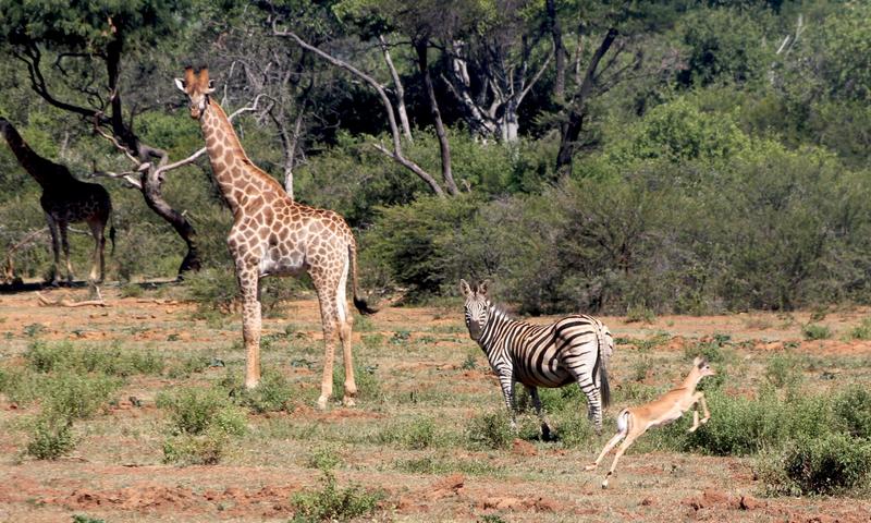 8 Bedroom Property for Sale in Ohrigstad Limpopo