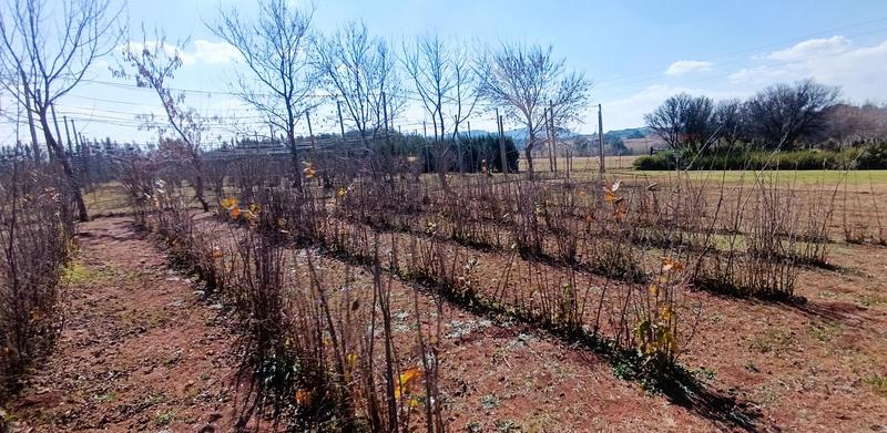 9 Bedroom Property for Sale in Tonteldoos Limpopo