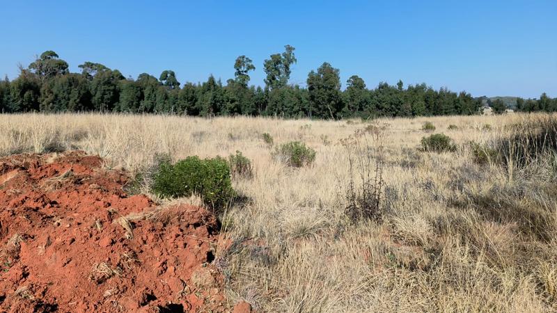 3 Bedroom Property for Sale in Tonteldoos Limpopo