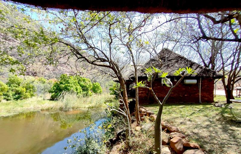 11 Bedroom Property for Sale in Lephalale Limpopo