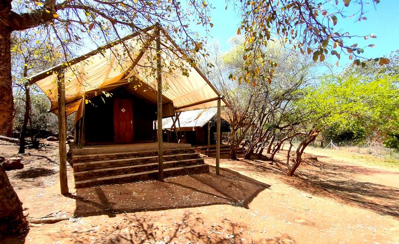 11 Bedroom Property for Sale in Lephalale Limpopo