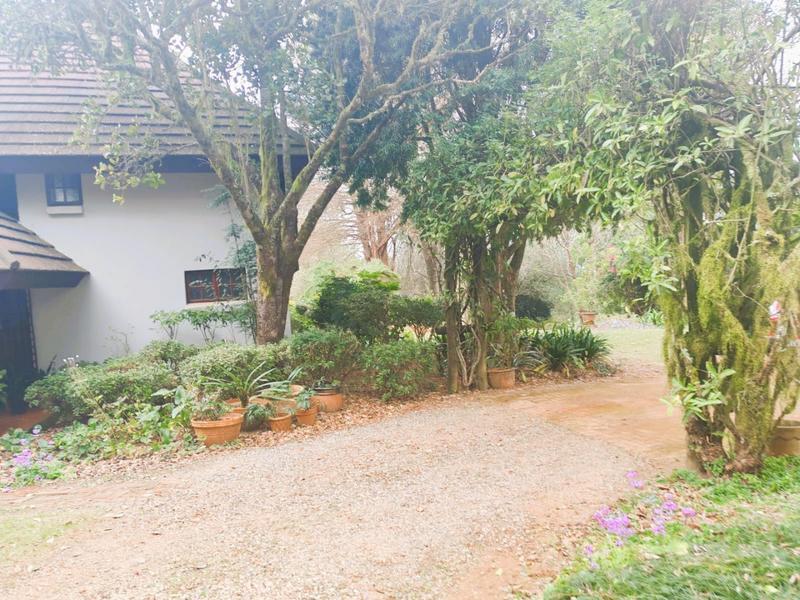 5 Bedroom Property for Sale in Tzaneen Rural Limpopo