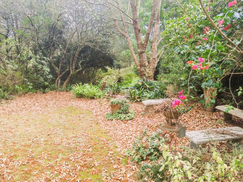 5 Bedroom Property for Sale in Tzaneen Rural Limpopo