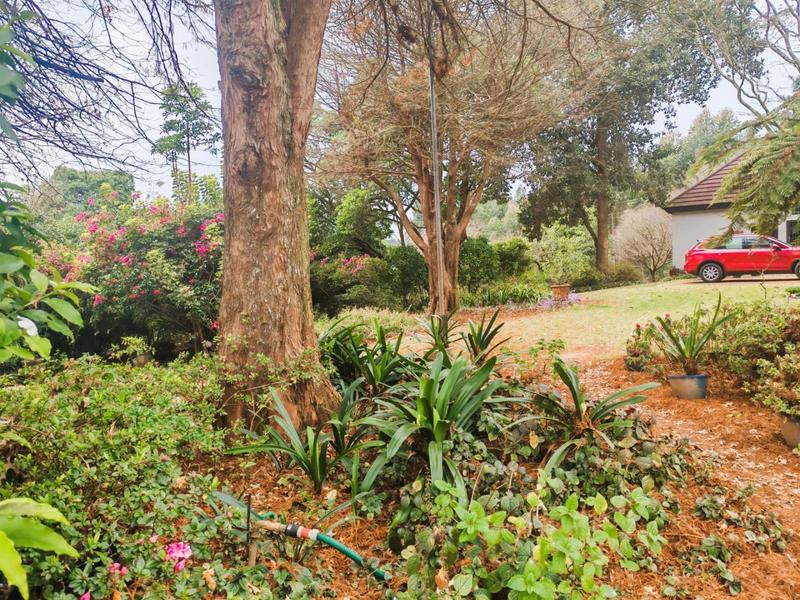 5 Bedroom Property for Sale in Tzaneen Rural Limpopo