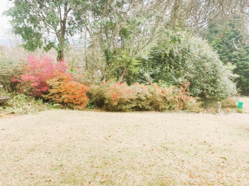 5 Bedroom Property for Sale in Tzaneen Rural Limpopo